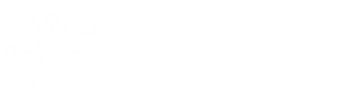MVP Solutions